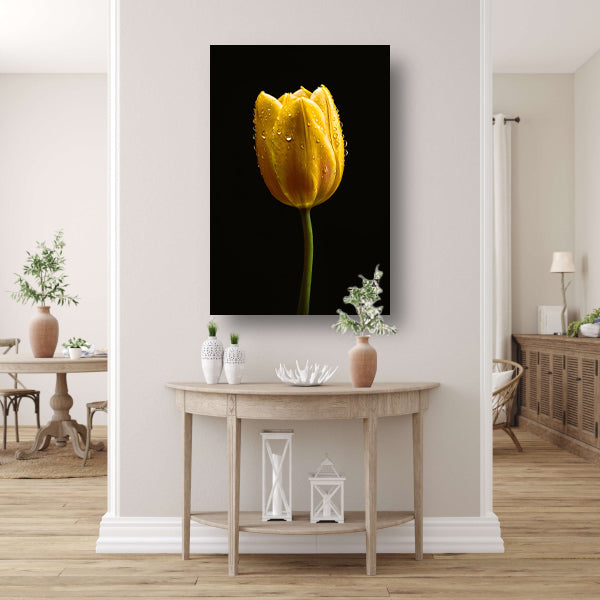 Gele tulp tegen zwarte achtergrond met dauw acrylglas
