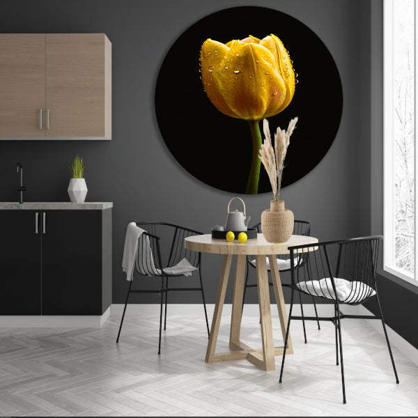 Gele tulp tegen zwarte achtergrond met dauw aluminium muurcirkel