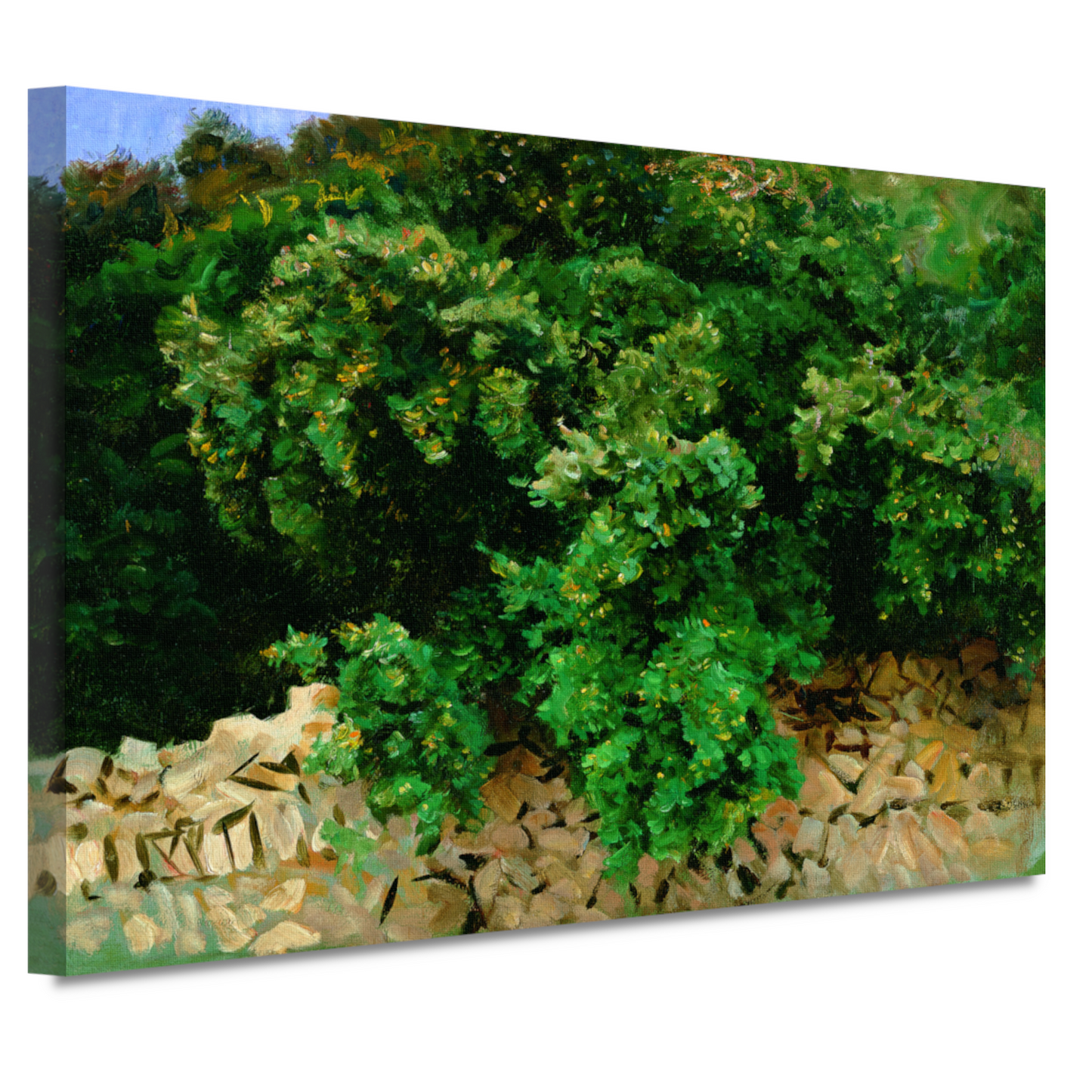 Ilex Bomen. Mallorca - John Singer Sargent canvas