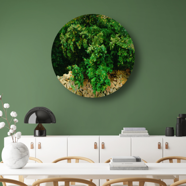 Ilex Bomen. Mallorca - John Singer Sargent aluminium muurcirkel