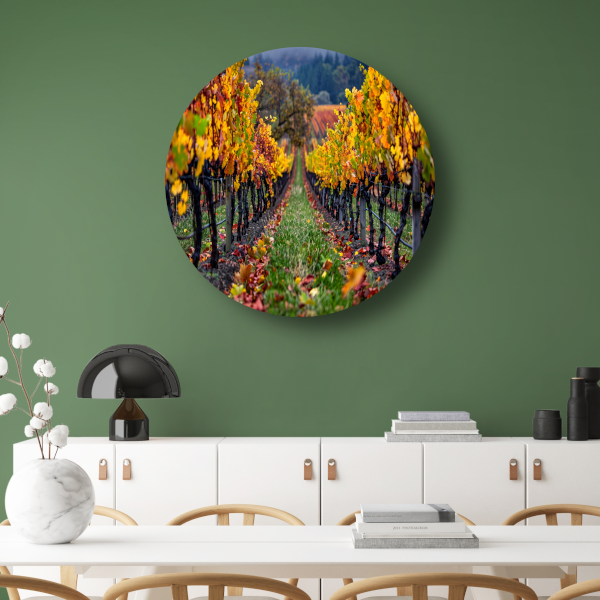 Herfst in de wijngaard met kleurenpracht aluminium muurcirkel