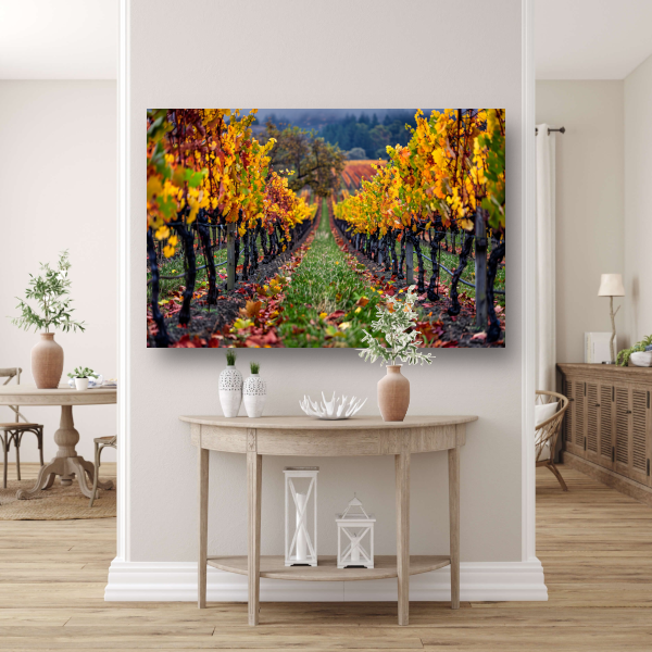 Herfst in de wijngaard met kleurenpracht canvas