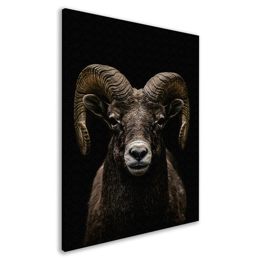 Krachtige close-up van een ram in zwart en wit canvas