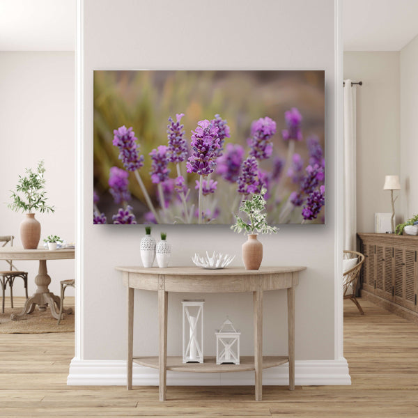 Levendige paarse lavendelbloemen in natuurlijke omgeving canvas