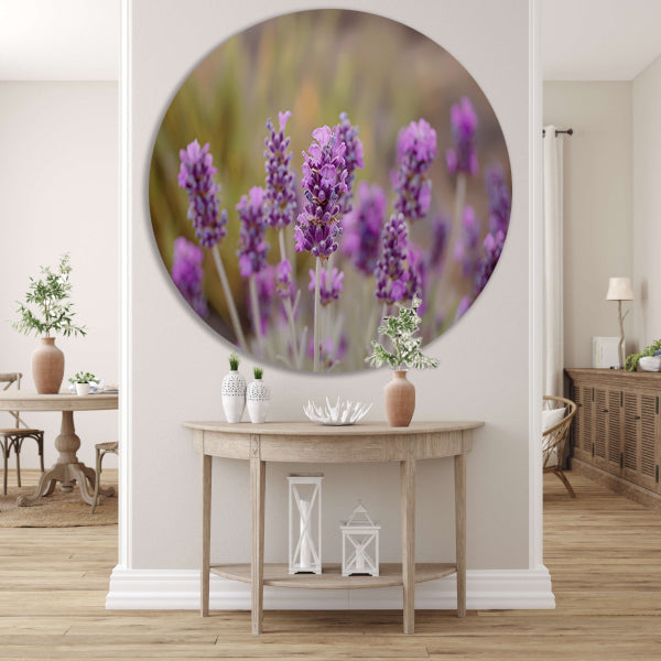 Levendige paarse lavendelbloemen in natuurlijke omgeving aluminium muurcirkel