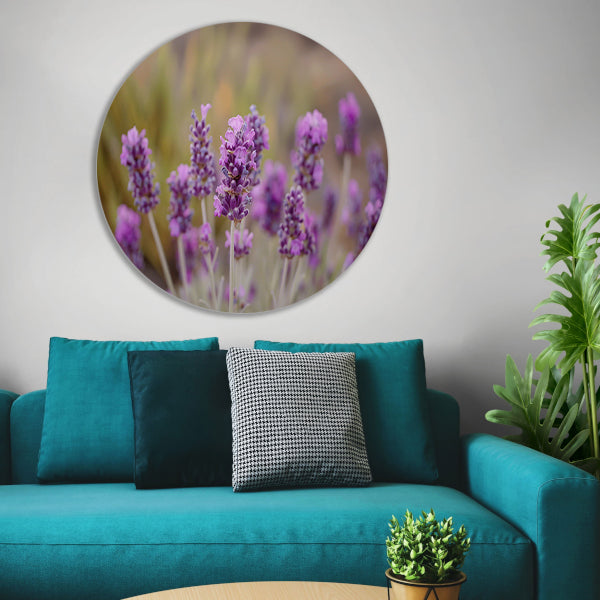 Levendige paarse lavendelbloemen in natuurlijke omgeving forex muurcirkel