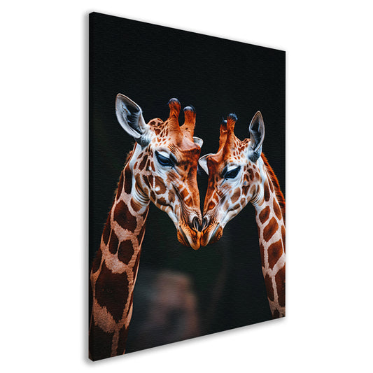 Twee giraffen met donkere achtergrond canvas