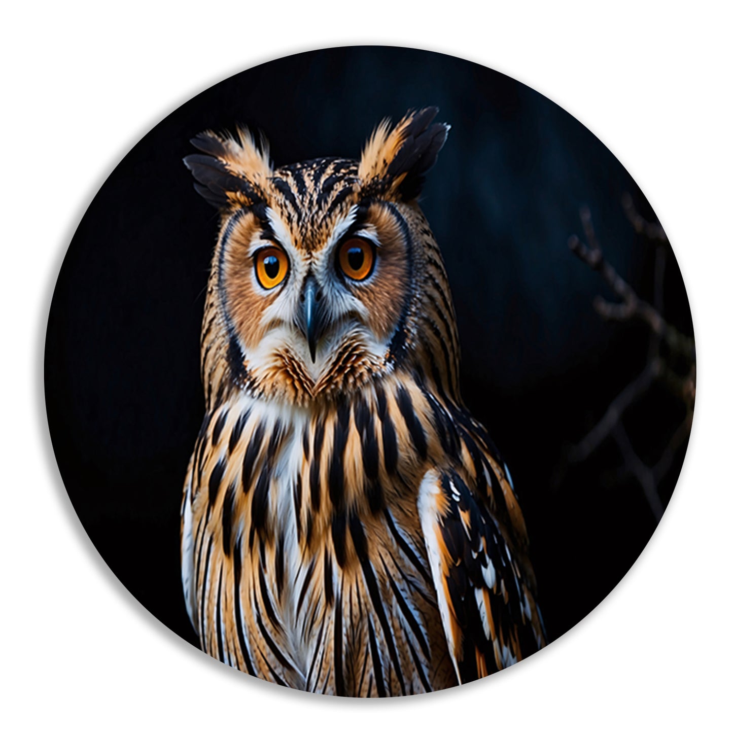 Prachtige close-up foto van een uil aluminium muurcirkel