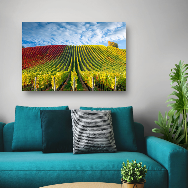 Herfstpanorama van kleurrijke wijngaarden canvas