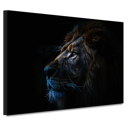 De stille majesteit van de nachtelijke leeuw canvas