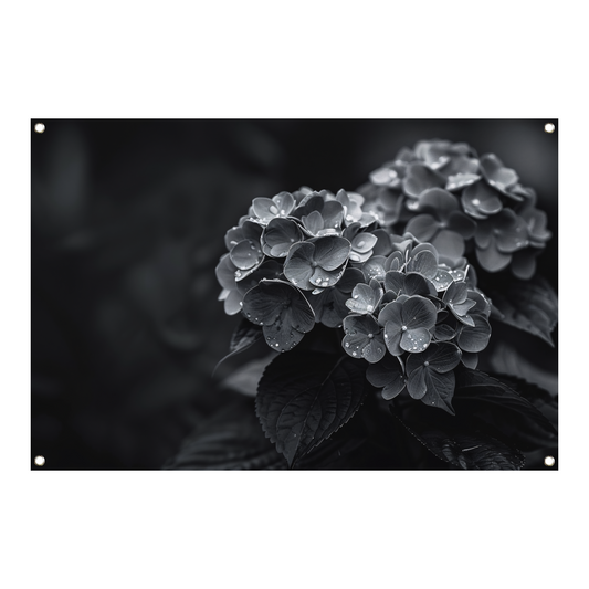 Hydrangeas in Vaas tuinposter