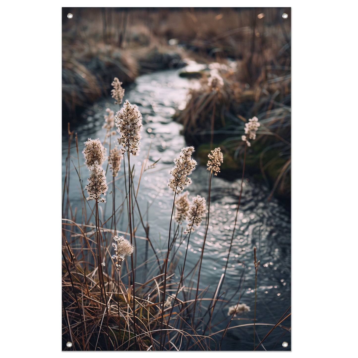 Rietpluimen langs kabbelend water tuinposter