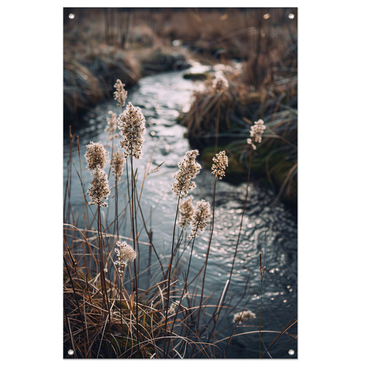 Rietpluimen langs kabbelend water tuinposter