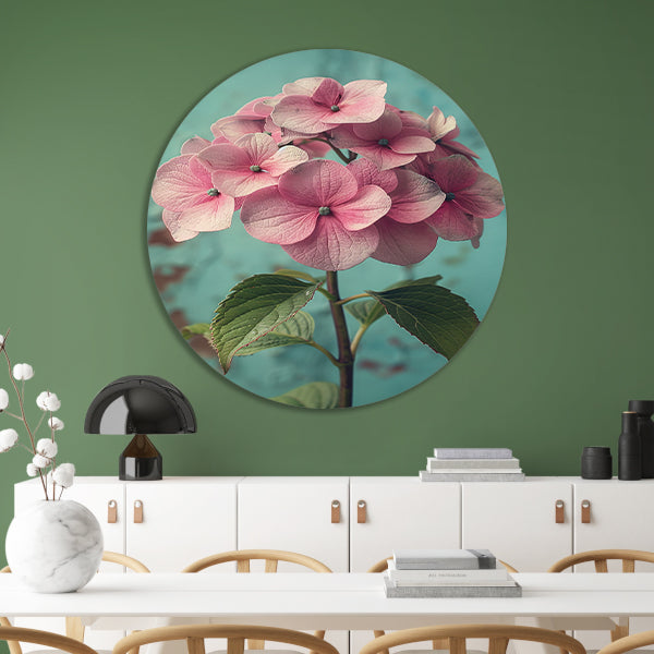 Close-up van Roze Hortensia met Turquoise Achtergrond forex muurcirkel