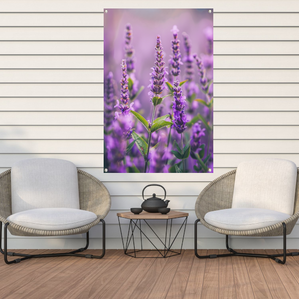 Close-up van bloeiende lavendelbloemen in paars tuinposter
