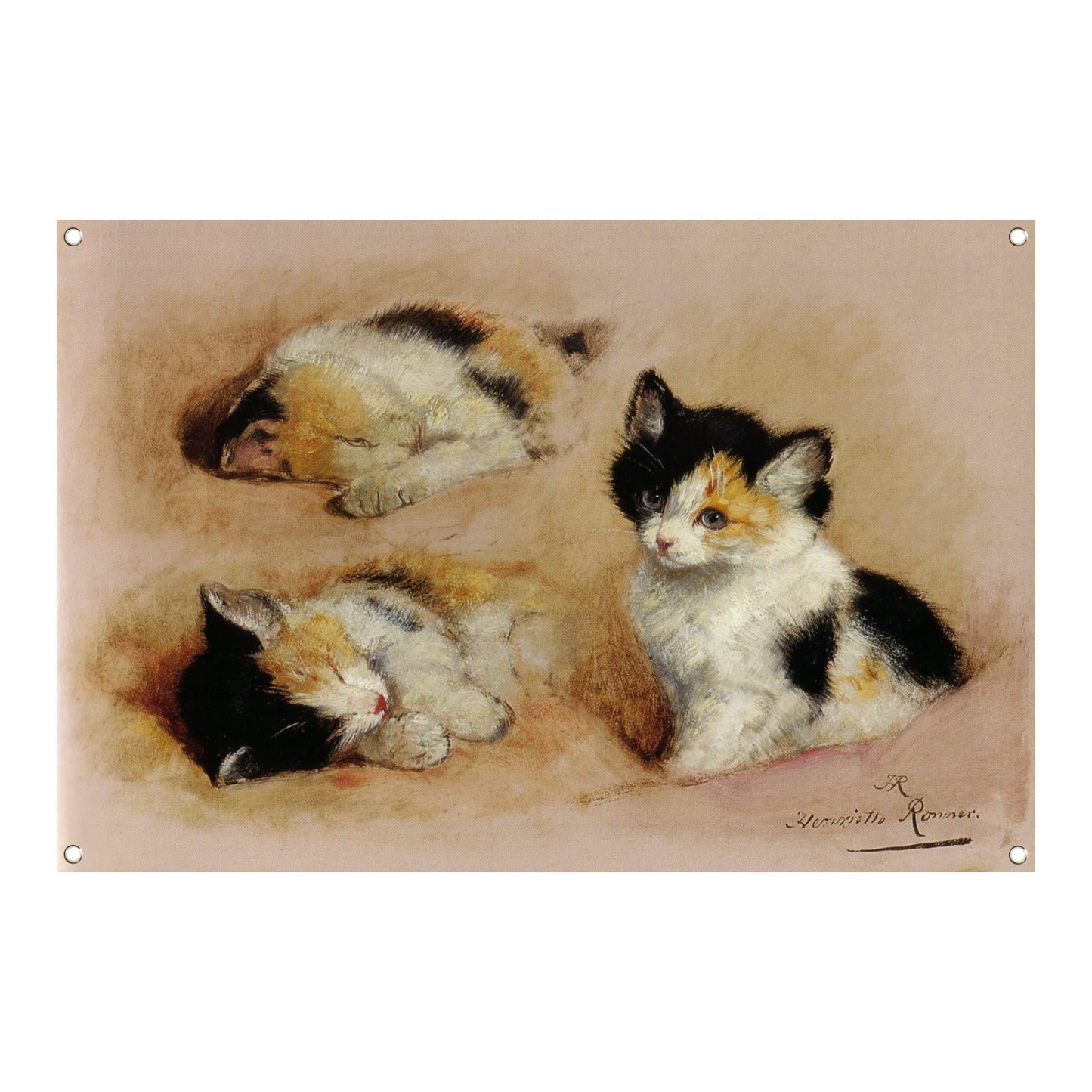 Studies van ontwakend katje - Henriëtte Ronner tuinposter