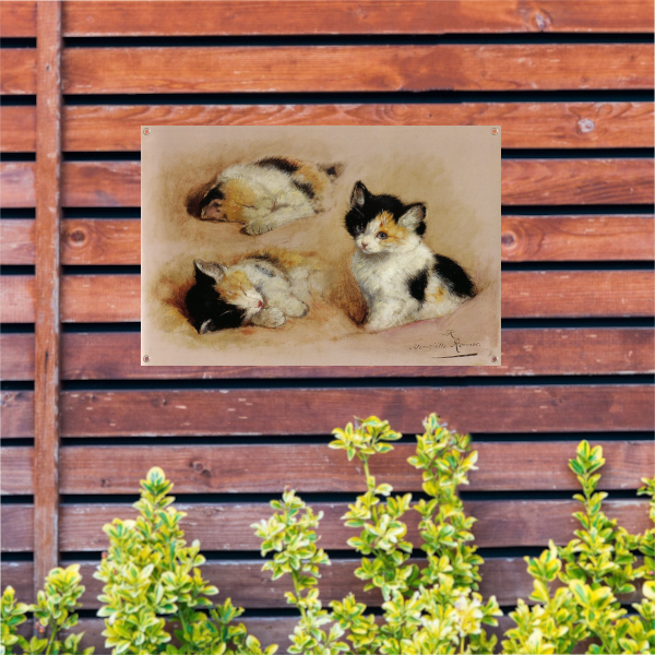 Studies van ontwakend katje - Henriëtte Ronner tuinposter