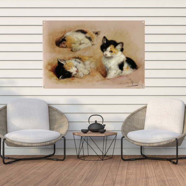 Studies van ontwakend katje - Henriëtte Ronner tuinposter