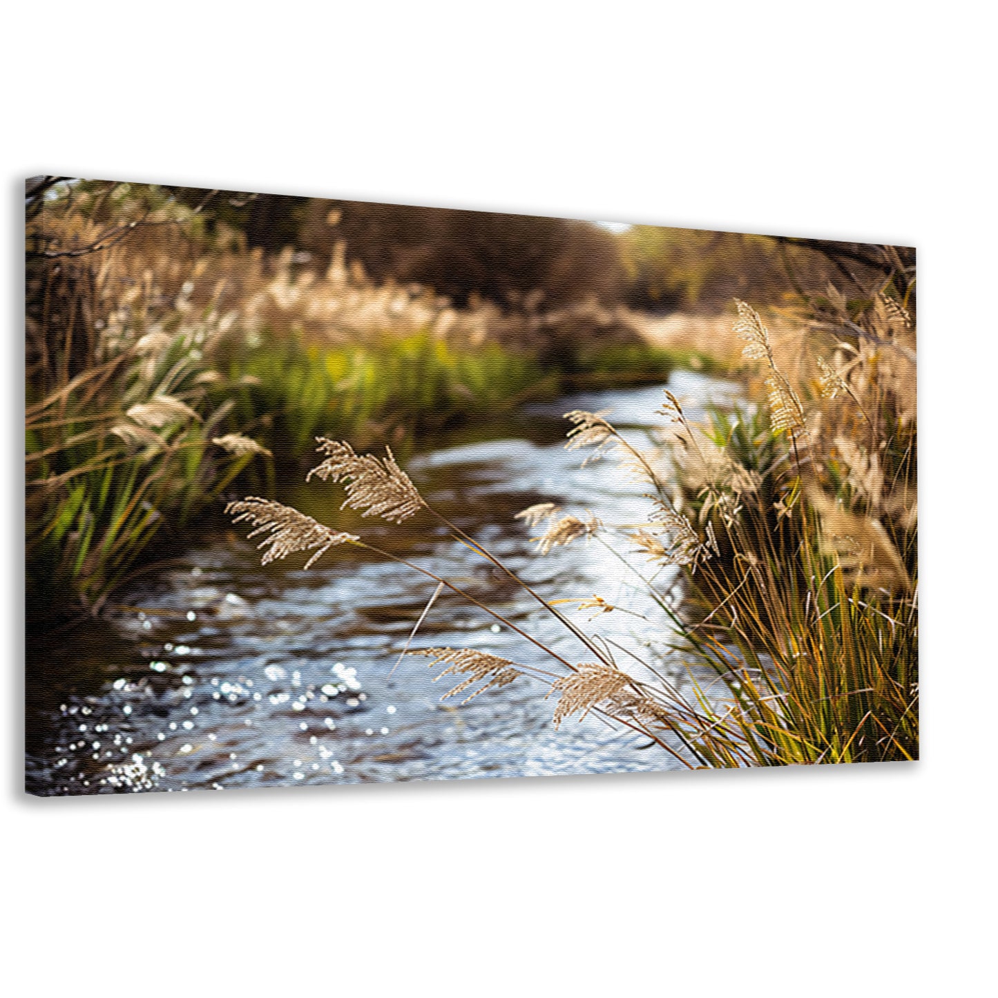 Kabbelende beek in herfstlandschap canvas