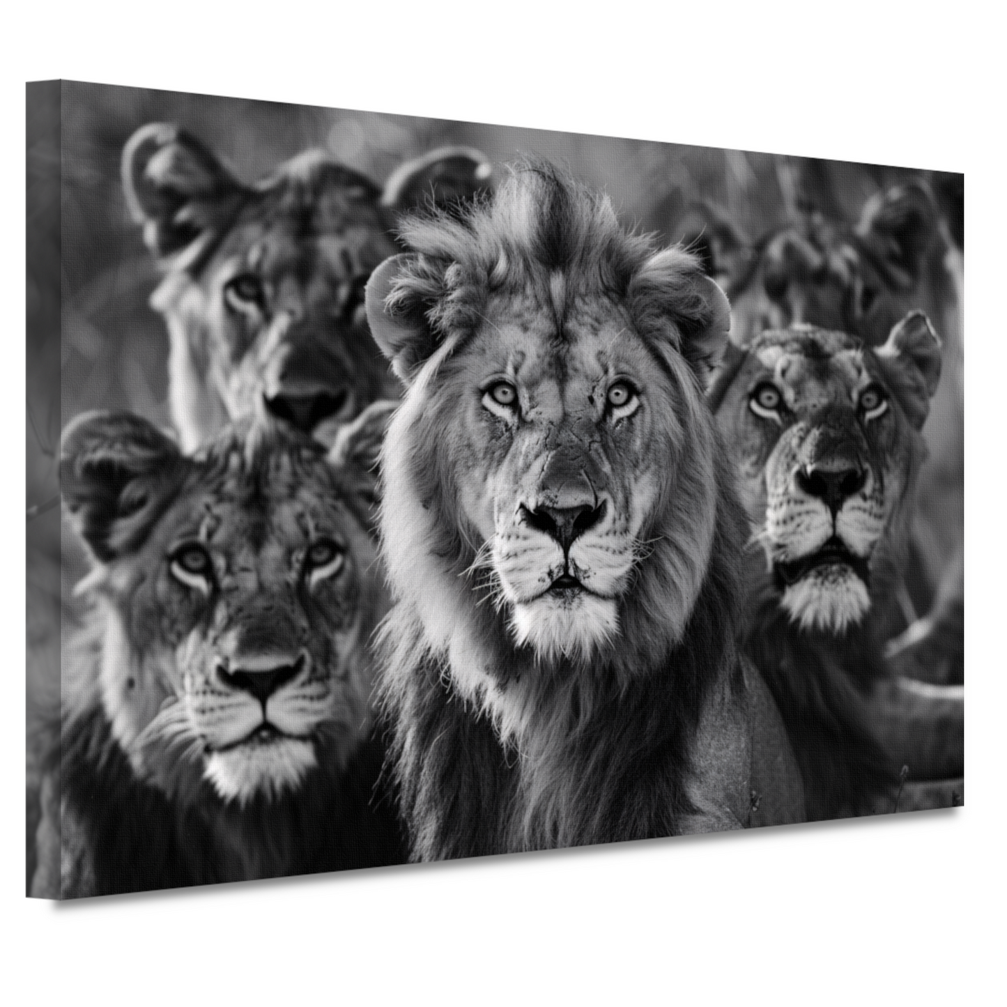 Leeuwenfamilie in de savanne canvas