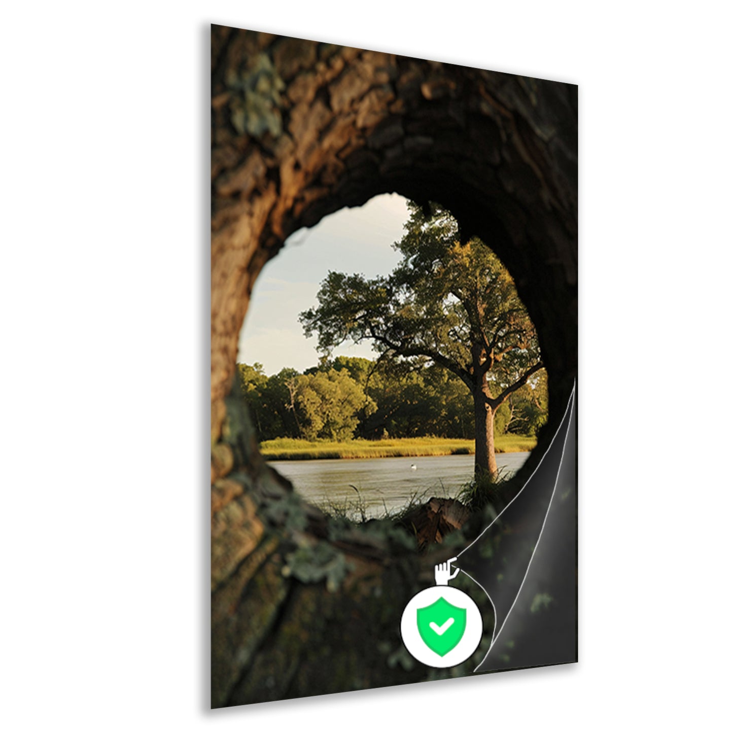 Boom weerspiegeld in rivier door boomholte poster