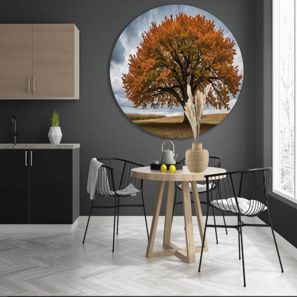 Majestueuze herfstboom in open veld forex muurcirkel