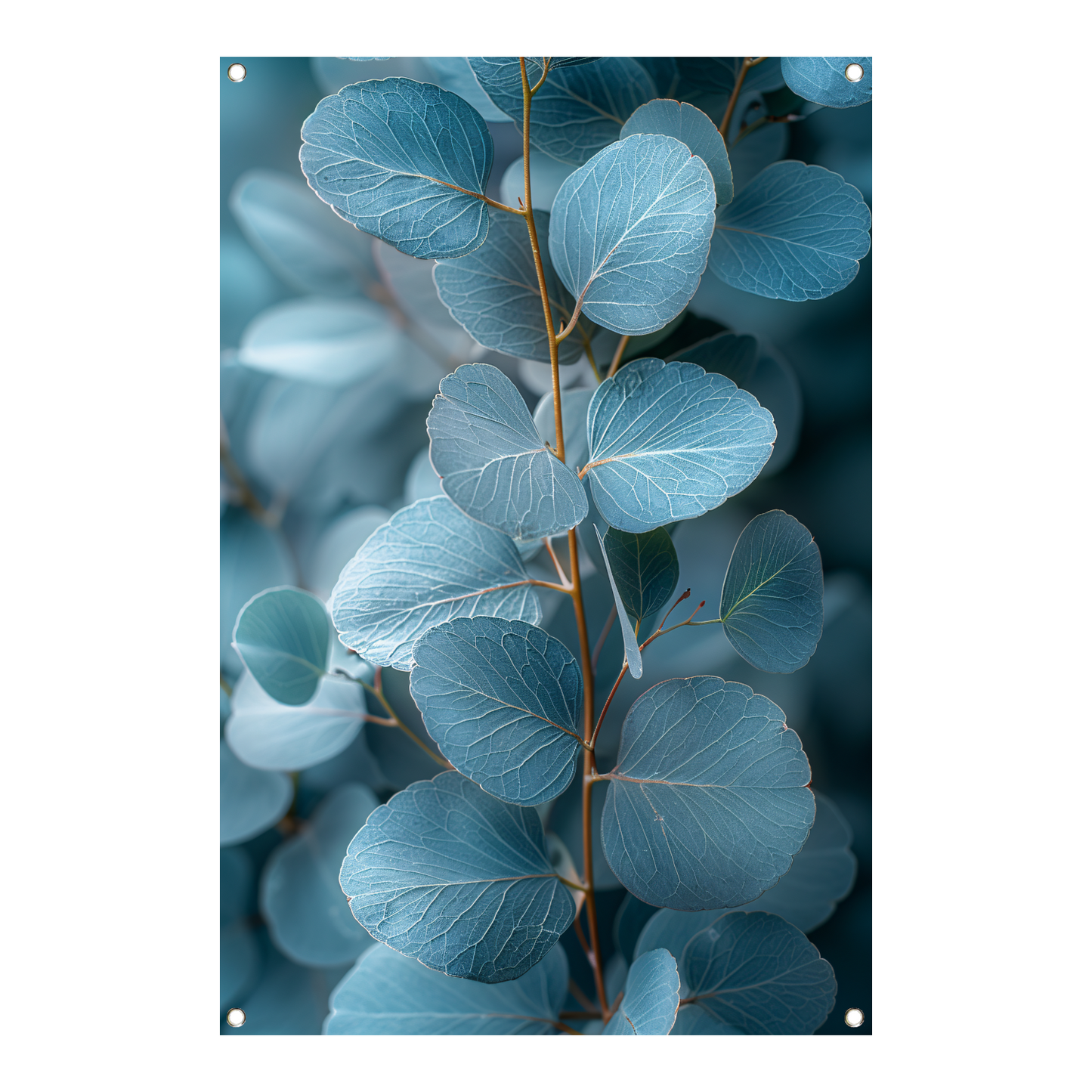 Minimalistische Weergave van Blauwe Eucalyptus Bladeren tuinposter