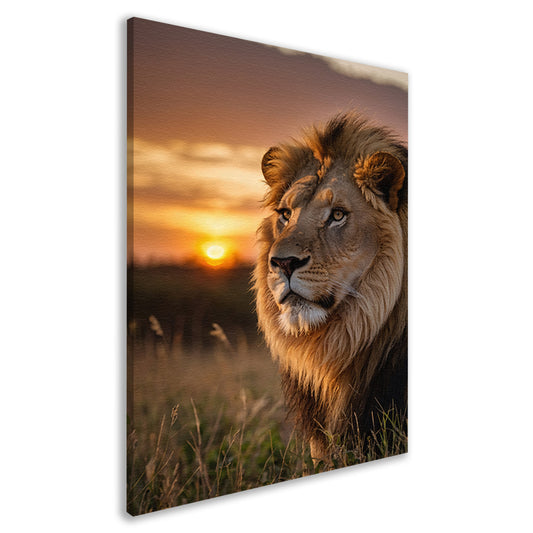 Majestueuze leeuw bij adembenemende zonsondergang canvas