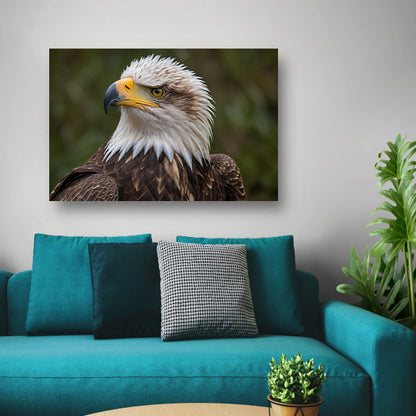 Gedetailleerd portret van een majestueuze adelaar poster