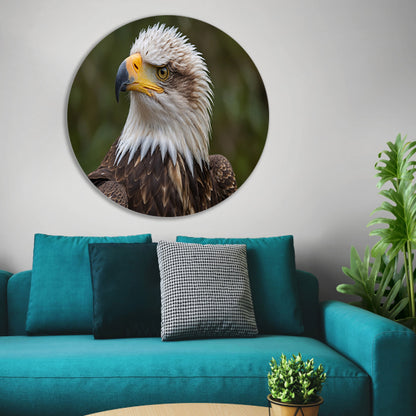 Gedetailleerd portret van een majestueuze adelaar aluminium muurcirkel