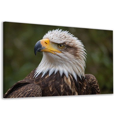 Gedetailleerd portret van een majestueuze adelaar canvas