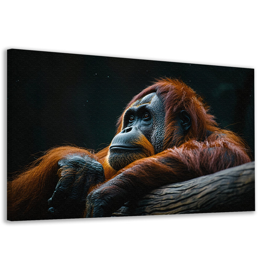 Serene Orang-oetan in Natuurlijke Rust canvas