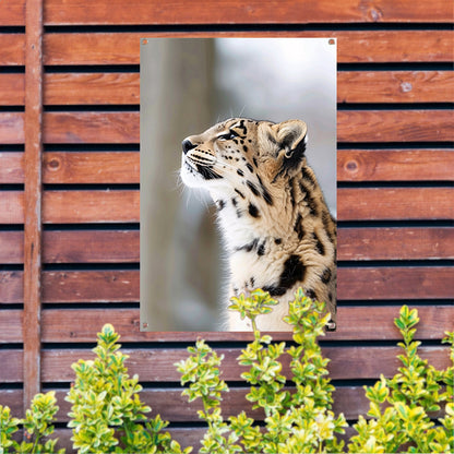 Schilderij van realistische luipaard in detail tuinposter