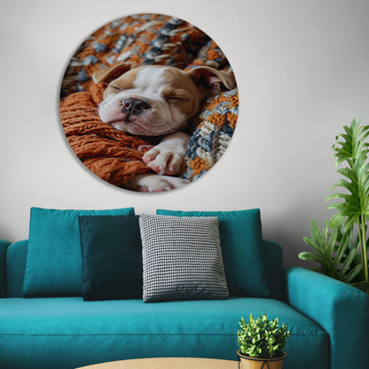 Bulldog Puppy Slaapt in Warme Deken aluminium muurcirkel