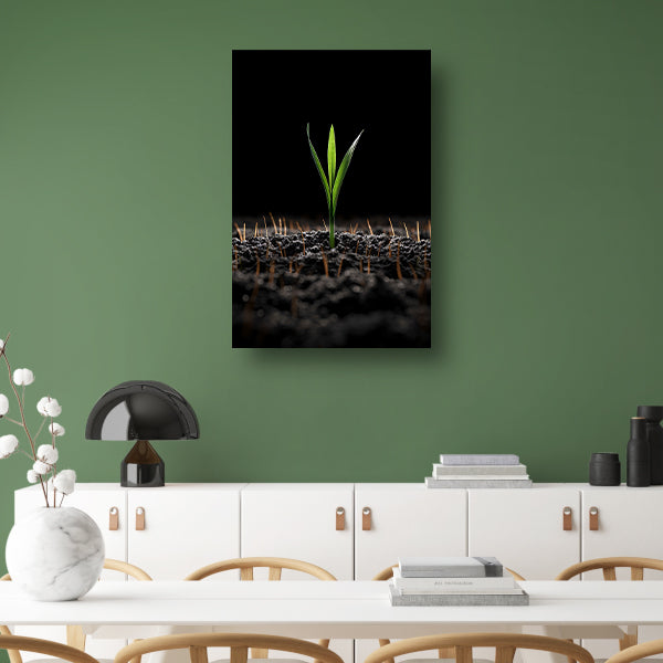 Groene spruit in donkere aarde canvas met baklijst