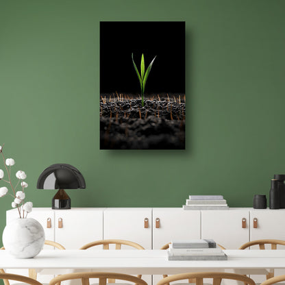 Groene spruit in donkere aarde canvas met baklijst