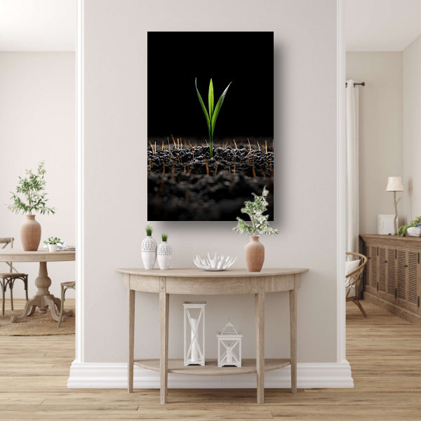 Groene spruit in donkere aarde canvas met baklijst