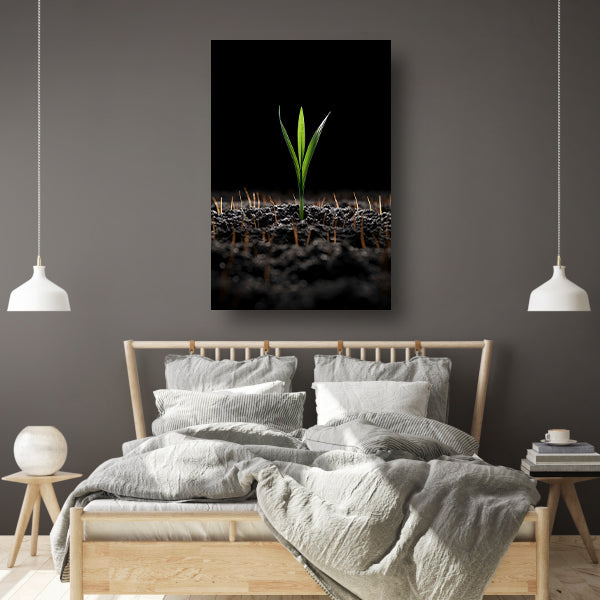 Groene spruit in donkere aarde canvas met baklijst