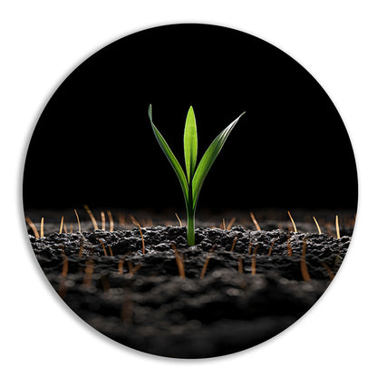 Groene spruit in donkere aarde forex muurcirkel