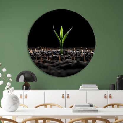 Groene spruit in donkere aarde aluminium muurcirkel