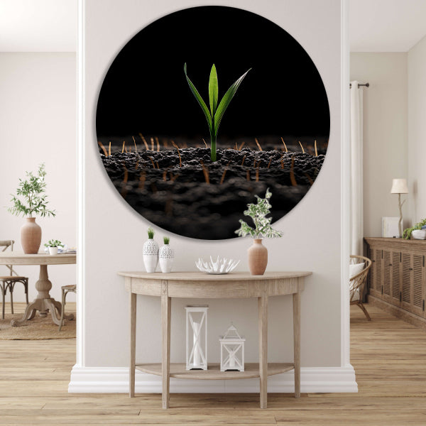Groene spruit in donkere aarde forex muurcirkel