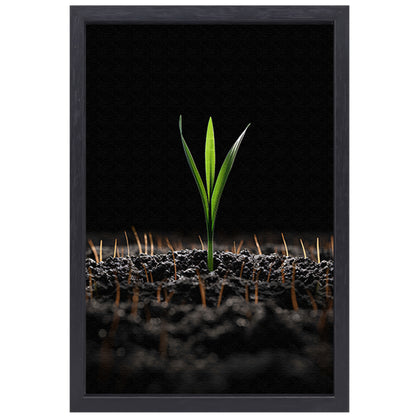 Groene spruit in donkere aarde canvas met baklijst