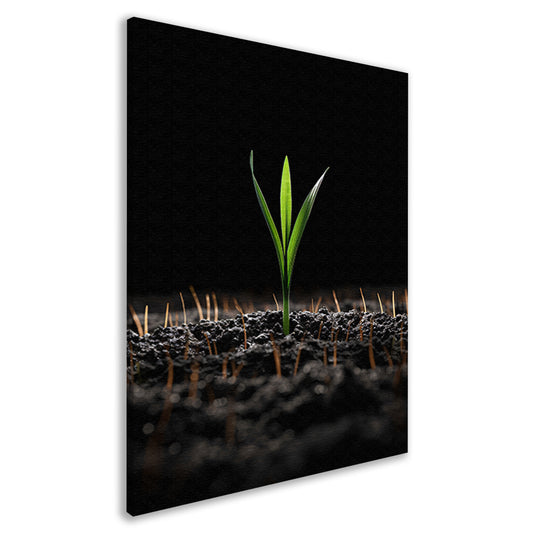 Groene spruit in donkere aarde canvas