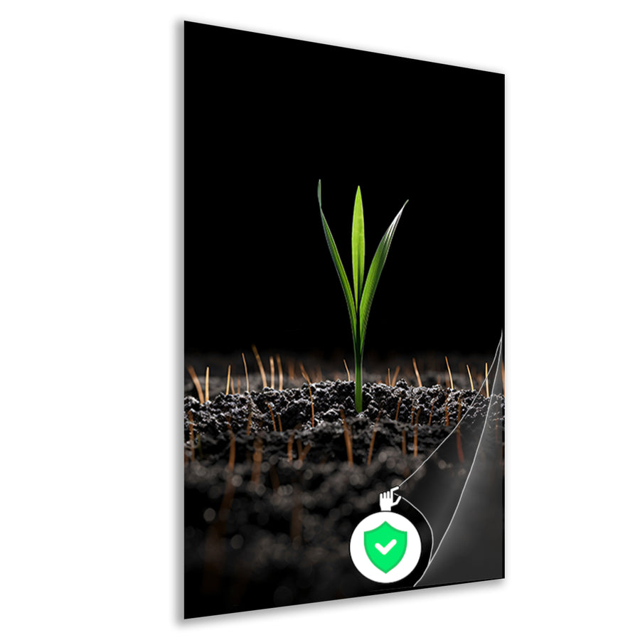 Groene spruit in donkere aarde poster