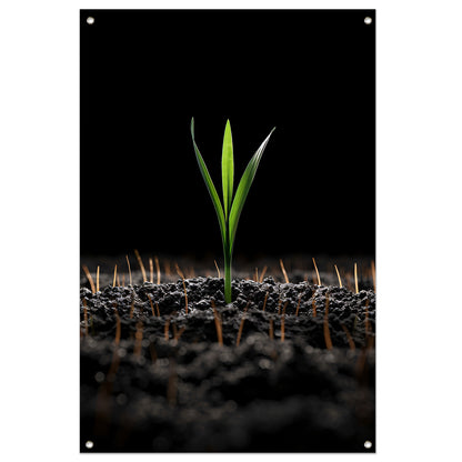 Groene spruit in donkere aarde tuinposter