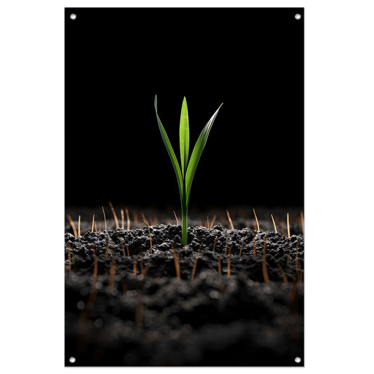 Groene spruit in donkere aarde tuinposter