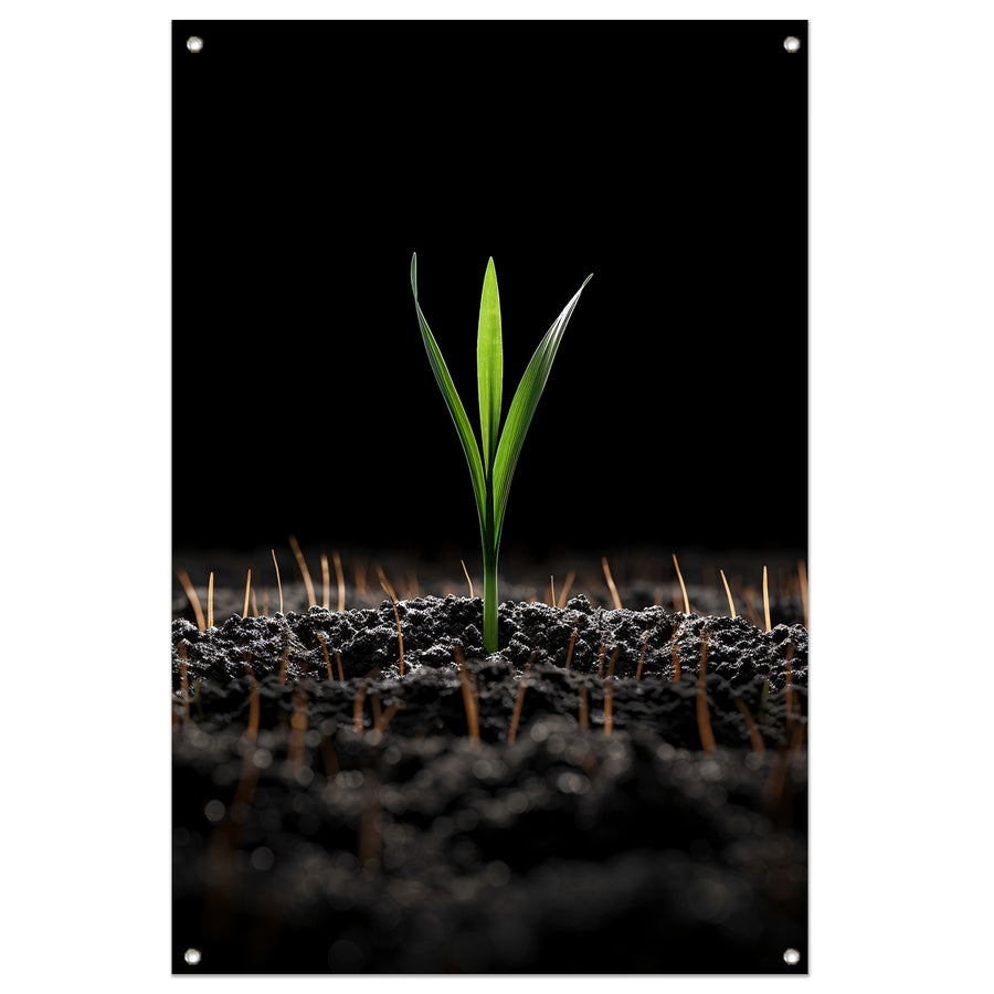Groene spruit in donkere aarde tuinposter
