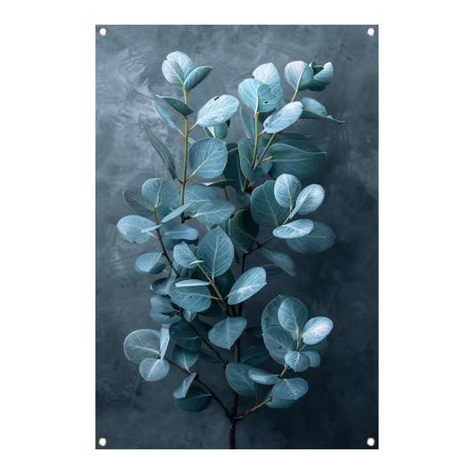 Eucalyptusbladeren met zachte grijze achtergrond tuinposter