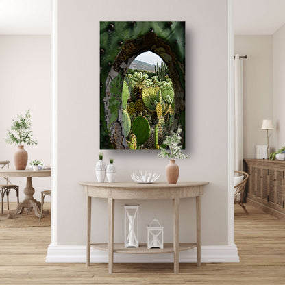 Doorkijkje naar een cactusparadijs acrylglas