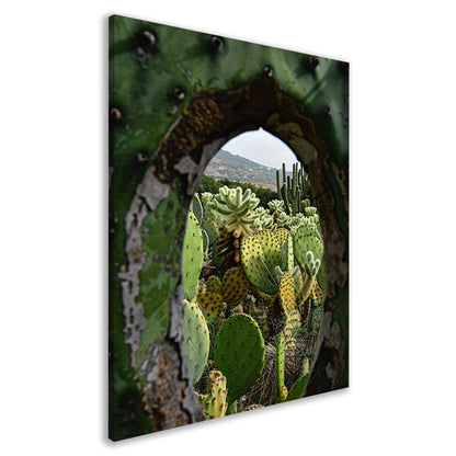 Doorkijkje naar een cactusparadijs canvas